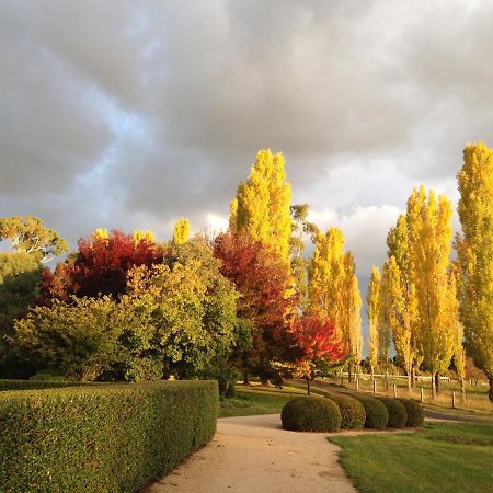 Glen Waverly Farmstay Glen Innes Dış mekan fotoğraf