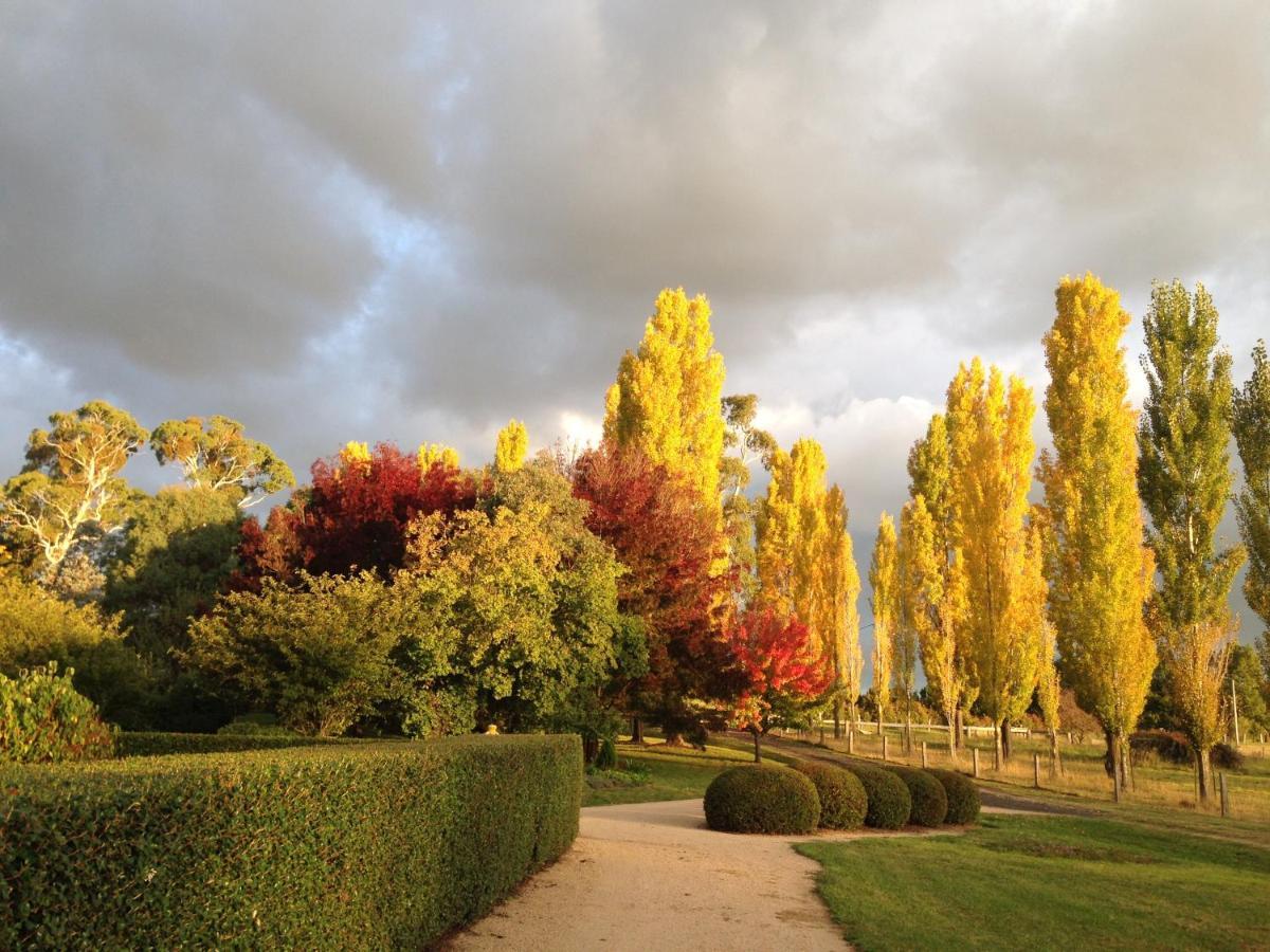 Glen Waverly Farmstay Glen Innes Dış mekan fotoğraf