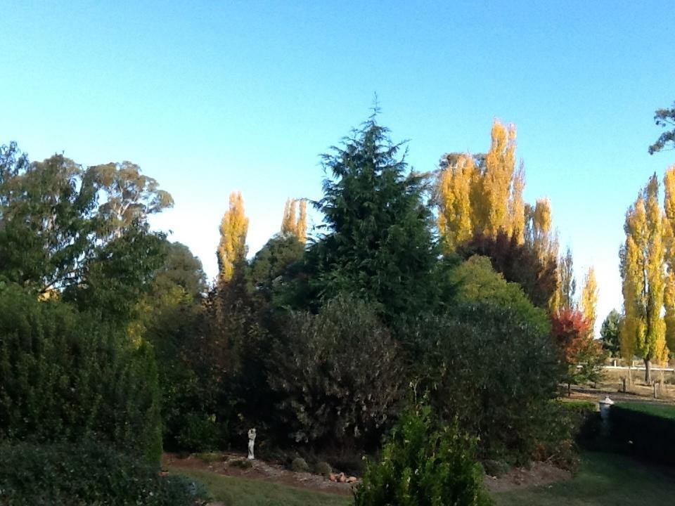 Glen Waverly Farmstay Glen Innes Oda fotoğraf