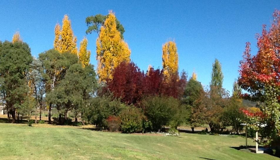 Glen Waverly Farmstay Glen Innes Oda fotoğraf
