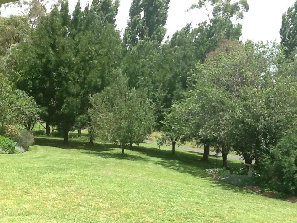 Glen Waverly Farmstay Glen Innes Oda fotoğraf