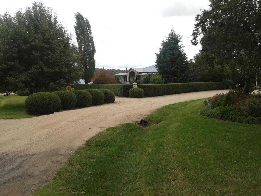 Glen Waverly Farmstay Glen Innes Dış mekan fotoğraf
