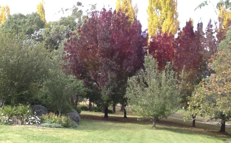 Glen Waverly Farmstay Glen Innes Oda fotoğraf