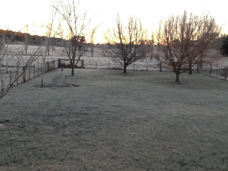 Glen Waverly Farmstay Glen Innes Dış mekan fotoğraf