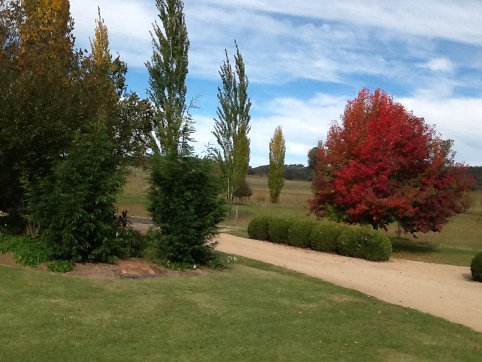Glen Waverly Farmstay Glen Innes Oda fotoğraf