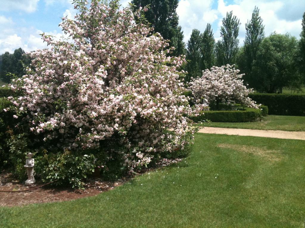 Glen Waverly Farmstay Glen Innes Dış mekan fotoğraf